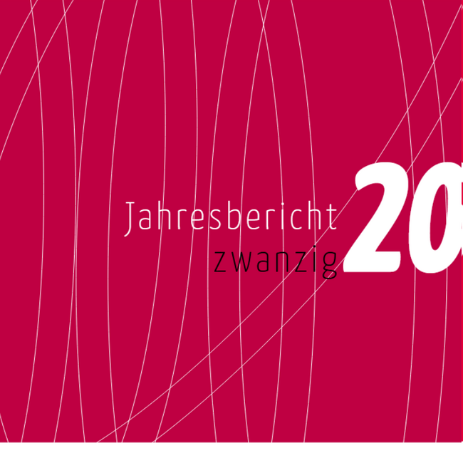 Titelbild Jahresbericht 2020