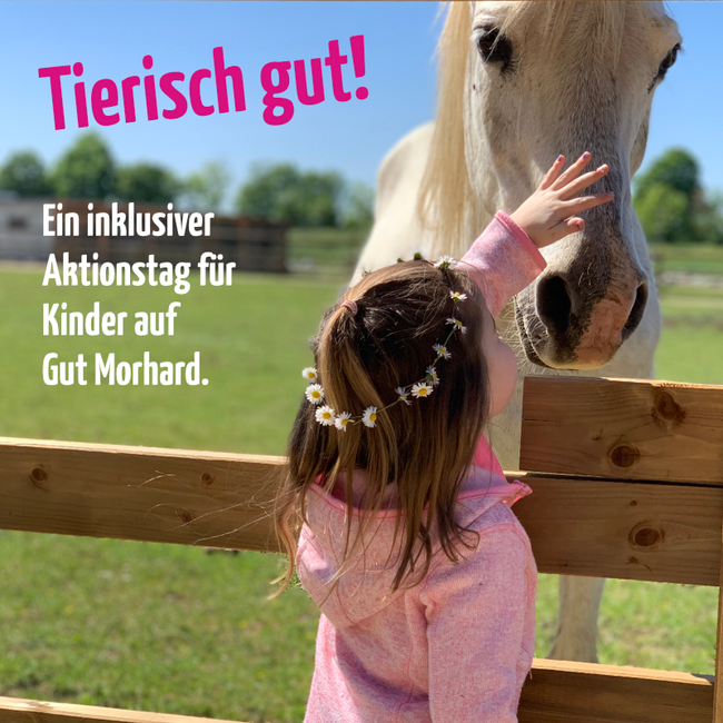 Newsbild Tierisch gut