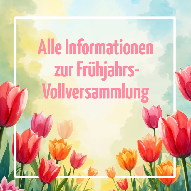 Newsbeitrag zur Frühjahrsvollversammlung